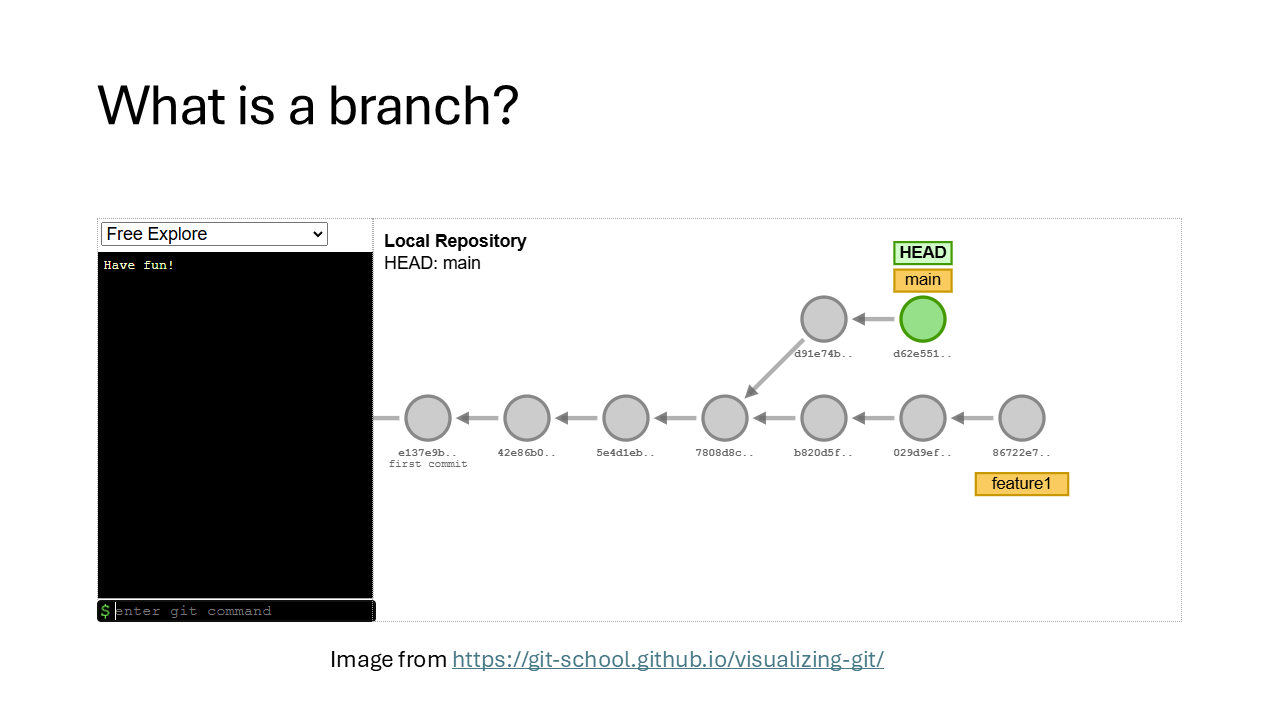 What is a branch?